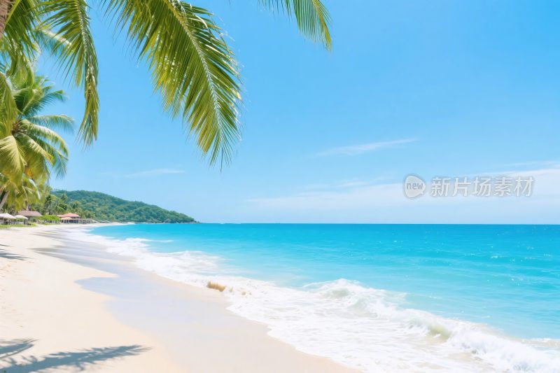 热带海滩风景