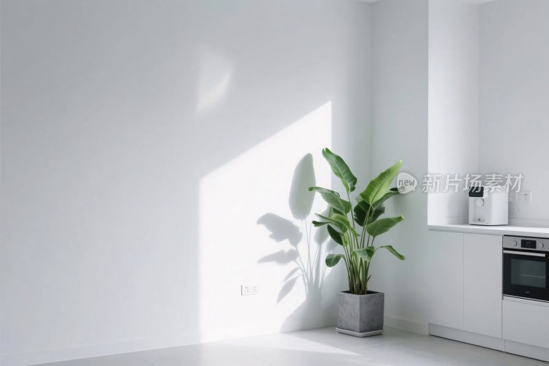 简约室内绿植空间