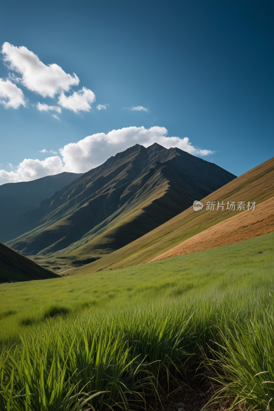 蓝天白天草原草地风景自然风光图片