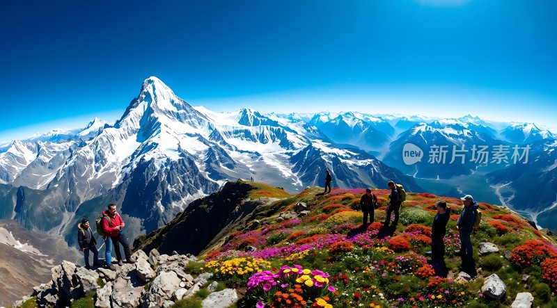 雪峰花海徒步旅行者