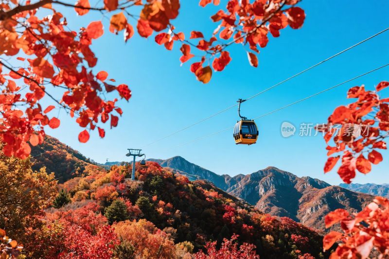 山间缆车红叶风光