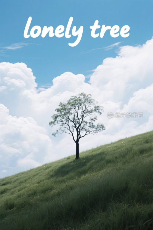 孤独的树风景