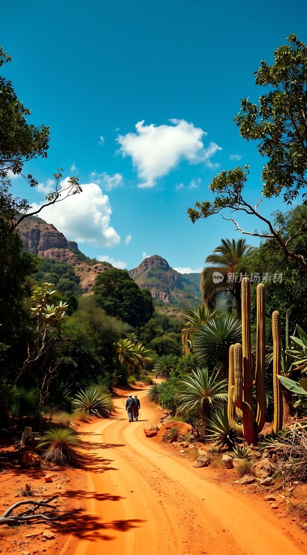 沙漠绿洲探险之旅