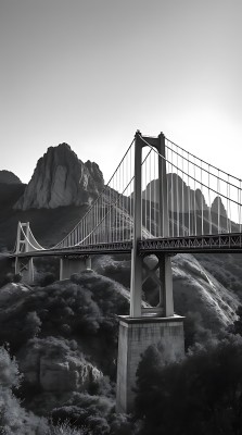 峡谷悬索桥 峡谷悬索桥