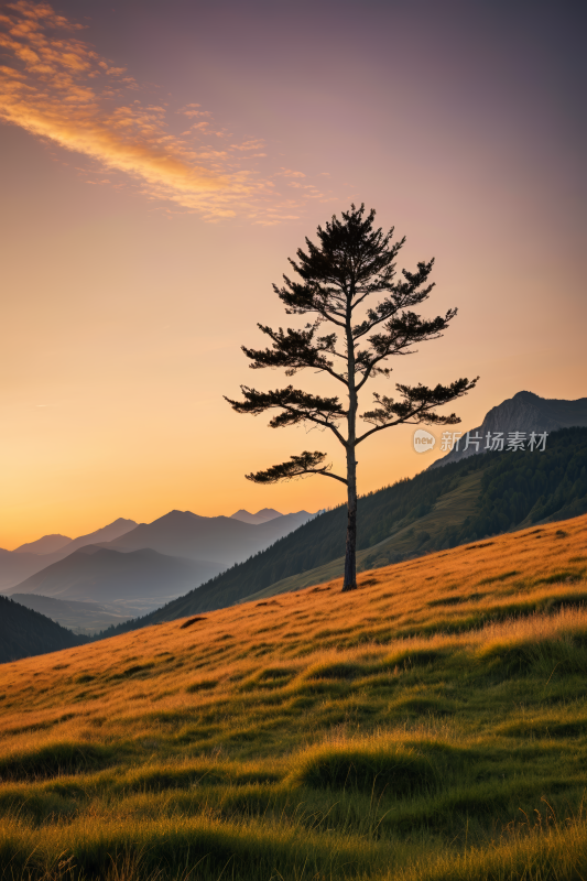 草地山上的树山脉高清风景图片