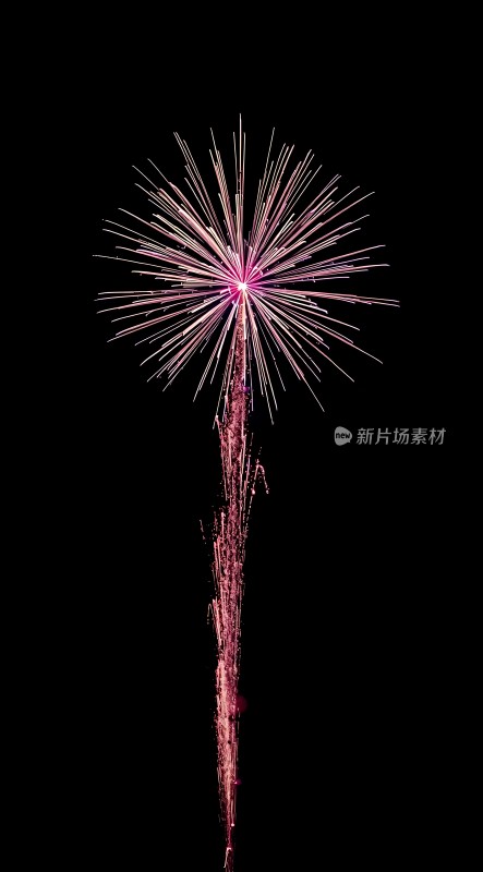 夜空烟花绽放色彩斑斓光芒四射