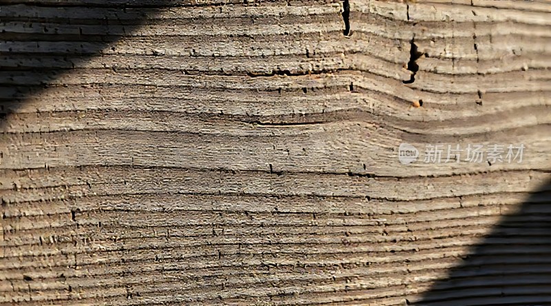 木纹纹理细节