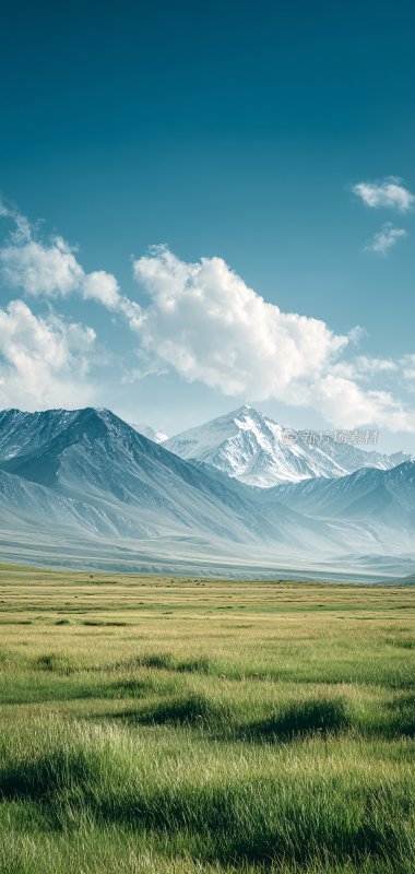 广袤草原与远方雪山美景