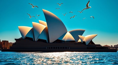 悉尼歌剧院海鸥翱翔