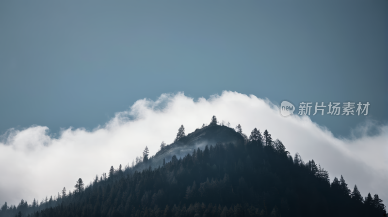 一座山上面有几棵树高清风景图片