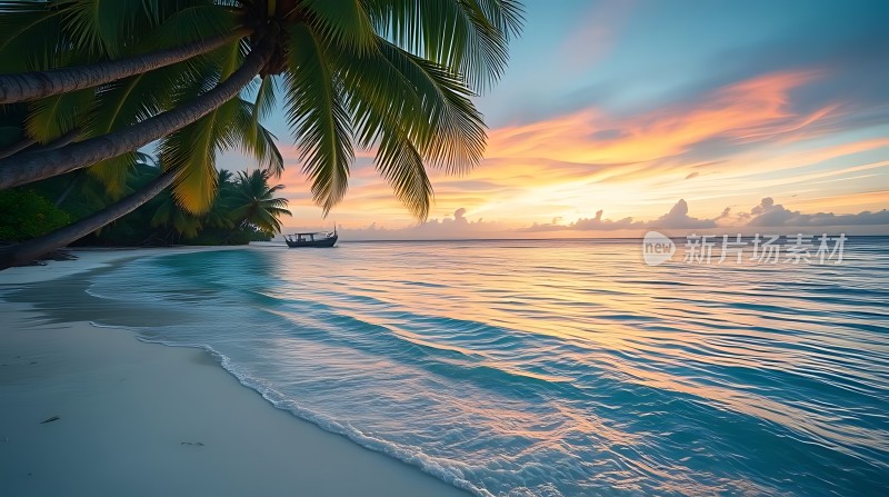 椰林晚霞映碧波