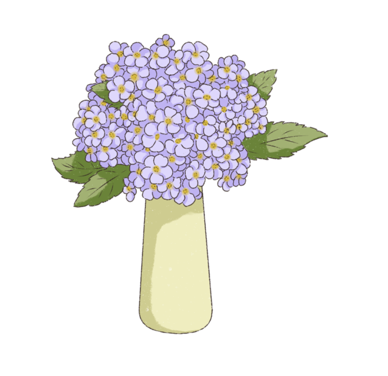 淡紫色绣球花的温柔