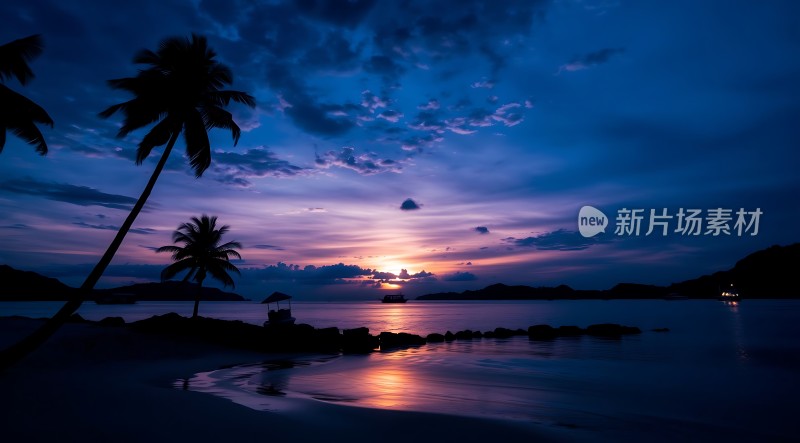 椰林晚霞映碧波