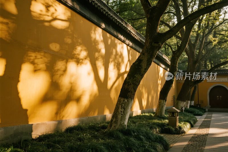 古建筑外墙风景