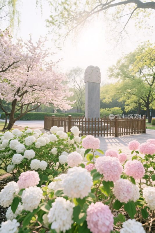 公园花丛与纪念碑景观