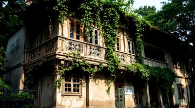 藤蔓缠绕的老建筑宁静而神秘