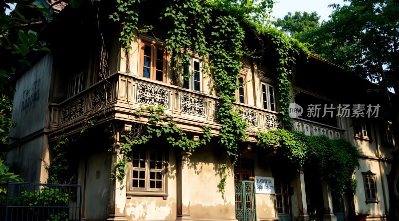 藤蔓缠绕的老建筑宁静而神秘