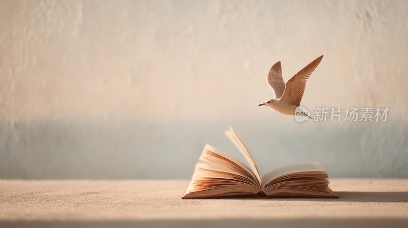 飞鸟与翻开的书画面