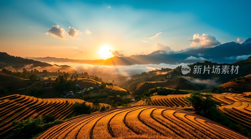 梯田晨曦阳光洒满大地
