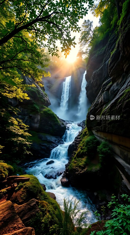 阳光下的瀑布与绿树