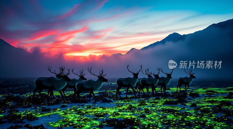 极光下的麋鹿群