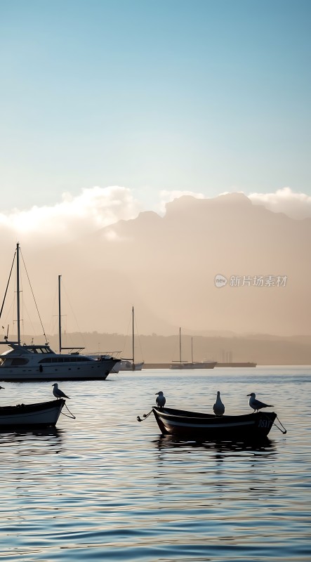 海鸥栖息小船帆影点点映波光