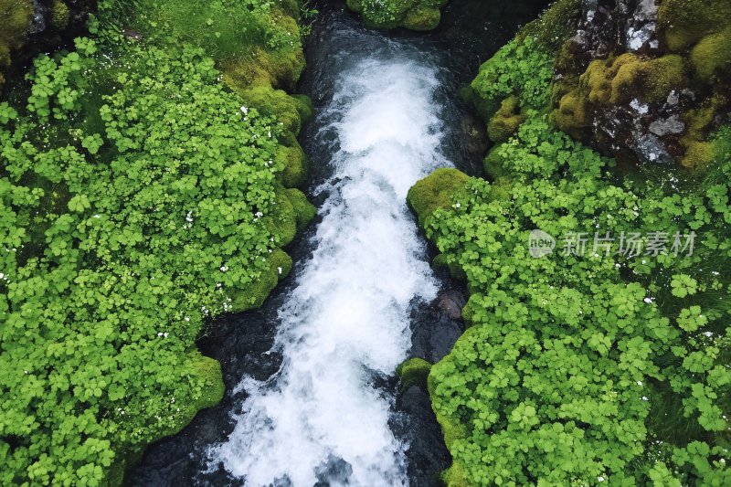 山间流淌的湍急溪流