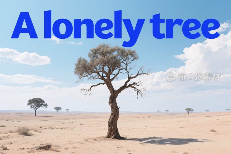 孤树荒漠插画