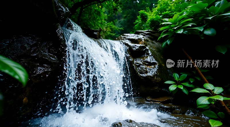 翠绿瀑布自然之韵