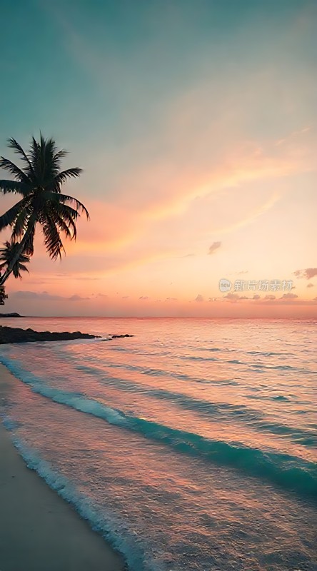 椰林晚霞映碧波
