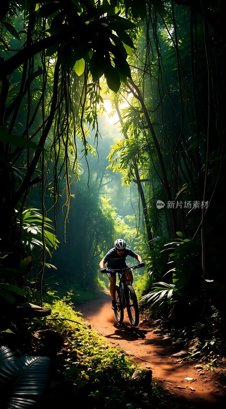 阳光下的骑行者穿越绿色丛林小径
