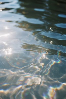 水面光影自然景观