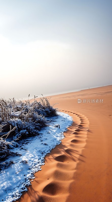 雪地沙漠脚印之旅