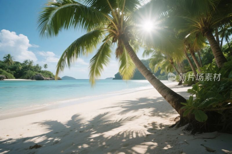 热带海滩风景插画