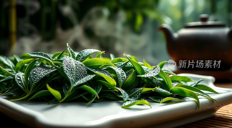 新片场素材 翠绿茶叶
