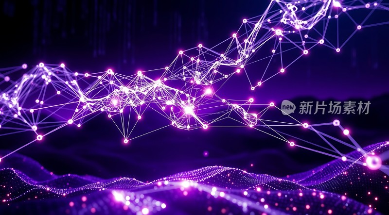 紫色科技网络世界