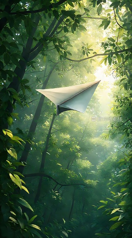 阳光下的森林中飞翔的风筝