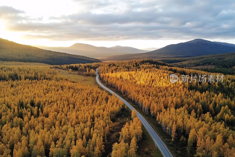 秋日山林间蜿蜒公路美景