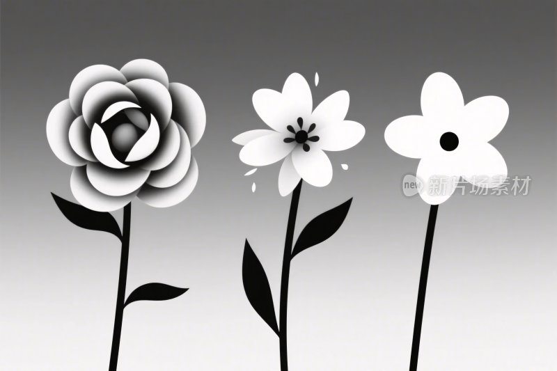 黑白花朵插画