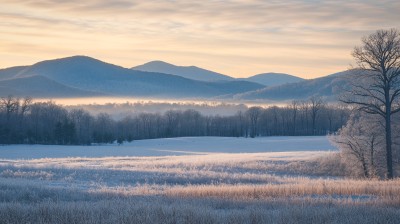 雪原晨光