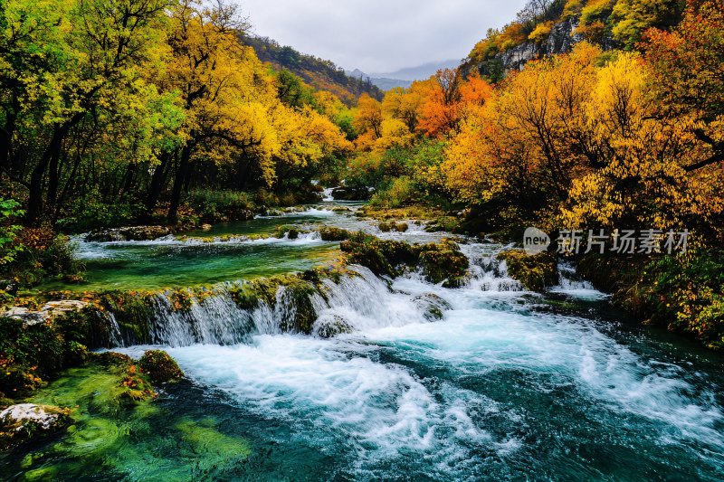 秋日山间溪流美景