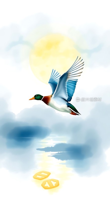 阳光下的飞翔之梦