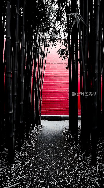 竹影斑驳映红墙