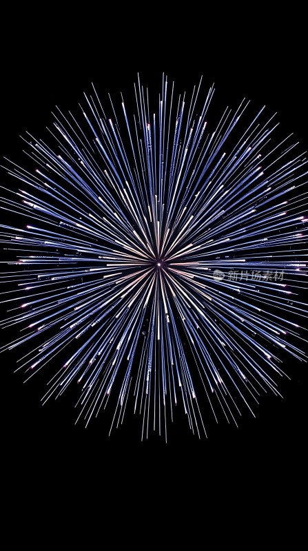 璀璨烟花绽放夜空