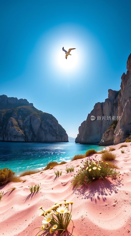 阳光下的海鸥飞翔在粉红色沙滩和蓝色海洋之间