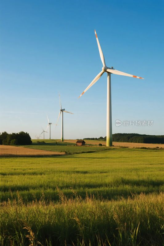 风车草地风景图