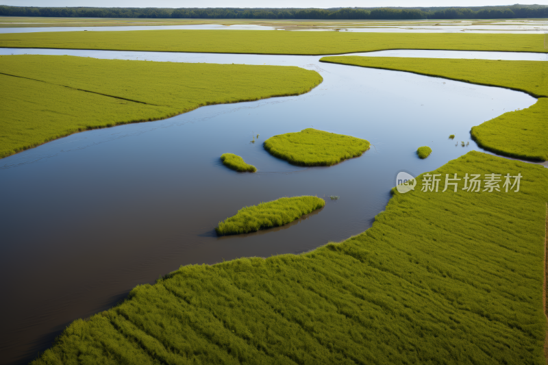 一条河流穿过郁郁葱葱的绿色田野风景图片