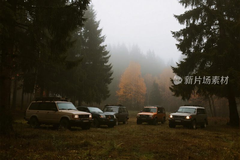 林间停放的多辆越野车