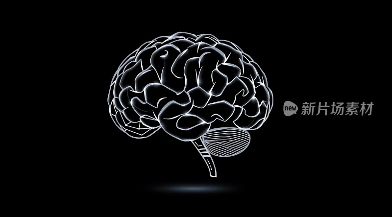 大脑新片场素材