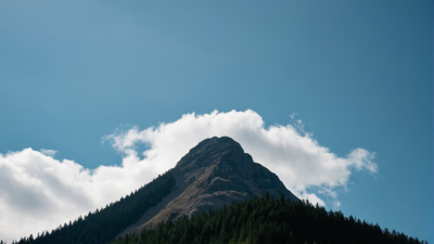 一座山有几棵树高清风景图片